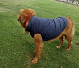 Padded British Style Cold Winter Vest For Loved Dog