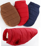 Padded British Style Cold Winter Vest For Loved Dog