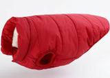 Padded British Style Cold Winter Vest For Loved Dog