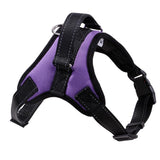 Solid Color Warm Soft Front Range Dog Harness